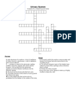 Renal and Urinary System Crossword Group 4