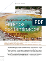 Dialnet RecuperacionAmbientalDeTerrenosContaminadosMediant 3395295 PDF