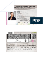 Identificación oficial (INE)