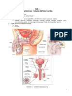 2._Anatomi_Fisiologi_Reproduksi_Pria_.docx