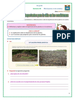 Día 2 Las Plantas Son Importantes para La Vida en Los Ecosistemas