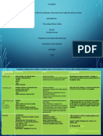 Actividad 2 Cuadro Comparativos