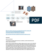 BORRADOR P INDUSTRIALES.docx