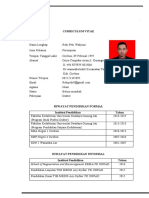 Curriculum Vitae CV Optimization