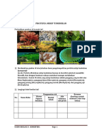 Protista Kb.3