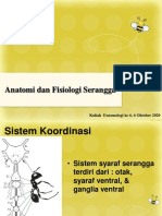 6. Anatomi dan fisiologi serangga