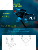 7. Pertumbuhan dan perkembangan seranggga