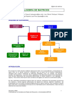 Guía para el Álgebra de Matrices [con el Programa Mathcad].pdf