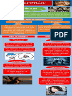 Infografia Anacronías