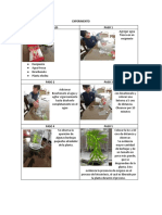 Experimento PDF