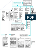 Mapa Conceptual de Seguridad Social