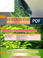 FOTOSINTESIS Video Fix