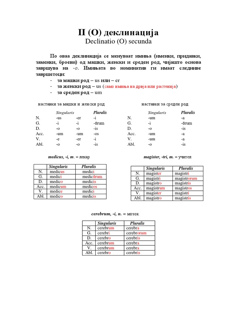 Declinatio (O) Secunda: Pluralis Pluralis | PDF