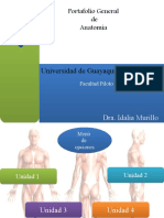 Portafolio_General_Anatomia_generalidades_y_huesos_de_la_cabeza.pptx