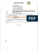 Informe Carbon-Modelo de Informe