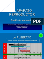 EL_APARATO_REPRODUCTOR