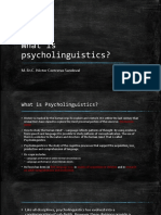 What Is Psycholinguistics