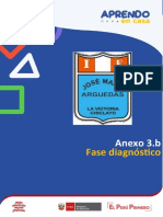 Anexo 3B - Fase Diagnóstico