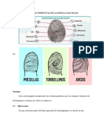 Características de La Huella Dactilar