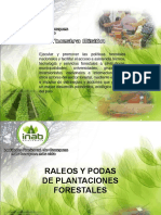 Presentación de Rotafolios-RALEO Y PODAS PDF