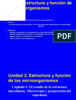 2 Microscopia y Tincin 1213702794715520 9