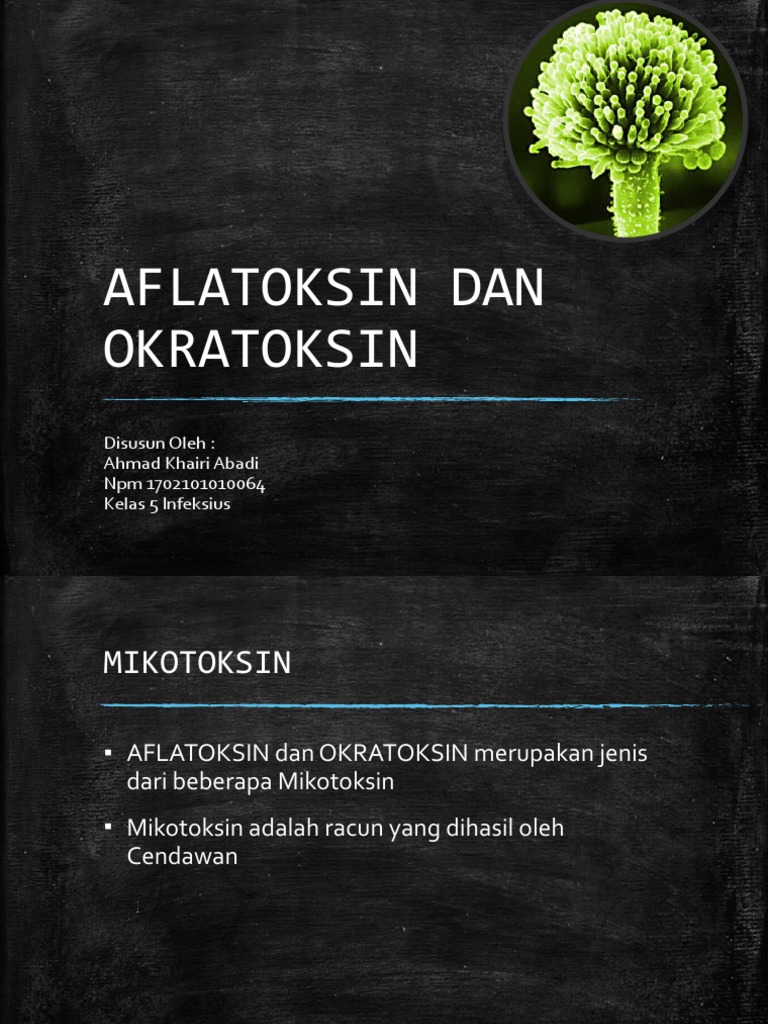 AFLATOKSIN DAN OKRATOKSIN Ahmad Khairi Abadi 1702101010064 | PDF ...