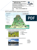 Evaluacion Final de Naturales 7°