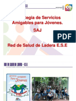 servicios-amigables (1).pdf