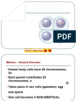 Meiosis