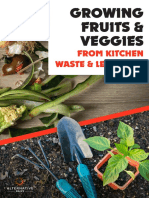 From Kitchen Waste & Leftovers