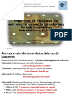 Phénotypes-de-résistance-chez-les-Entérobactéries-2019