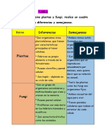 CCNN Reino Plantae y Fungi Cuadro Comparativo