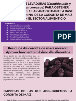 Proteína unicelular antioxidante a partir de levaduras y antocianinas de maíz morado