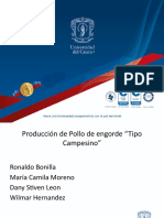 Produccion y Comercializacion de Pollos