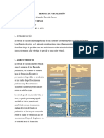 Perdida de Circulación - Scribd