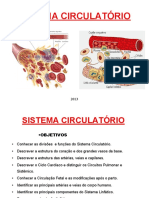 SISTEMA-CIRCULATÓRIO-2013.pdf