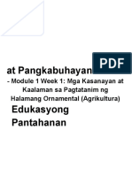 EPP4 - Q1 - Mod1 - Mga Kasanayan at Kaalaman Sa Paagtatanim NG Halamang Ornamental - Version 3