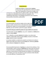 Carbohidratos, lípidos, proteínas y sus funciones