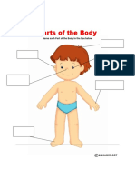 Parts of The Body Lesson