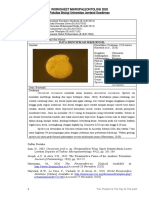 Identifikasi Foraminifera - K.2 - Pramudia Muhammad Rizki - B1A017023