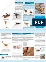 Alacranes de Importancia Médica en México
