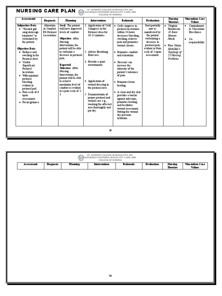 Nursing Care Plan for Perineal Lacerations | PDF | Breastfeeding | Wound