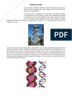 Modelling DNA