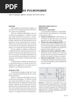 Monogxviii 3. Volumenes Pulmonares PDF