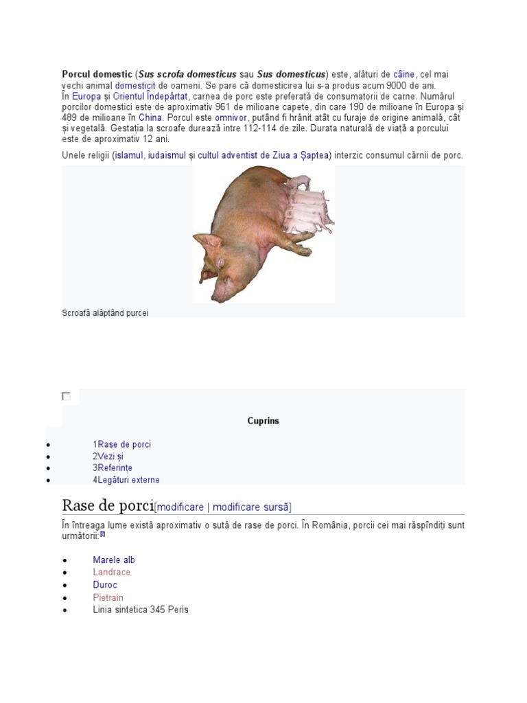 Porcul Domestic | PDF