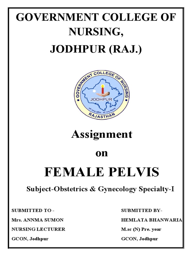 Overview of Female Pelvis Anatomy | PDF | Pelvis | Anatomy