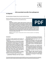 The Kidneys and ANCA-associated Vasculitis: From Pathogenesis To Diagnosis