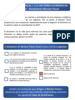 La Revisoría Fiscal y Los Sectores Económicos - (Clase 19 Noviembre) PDF