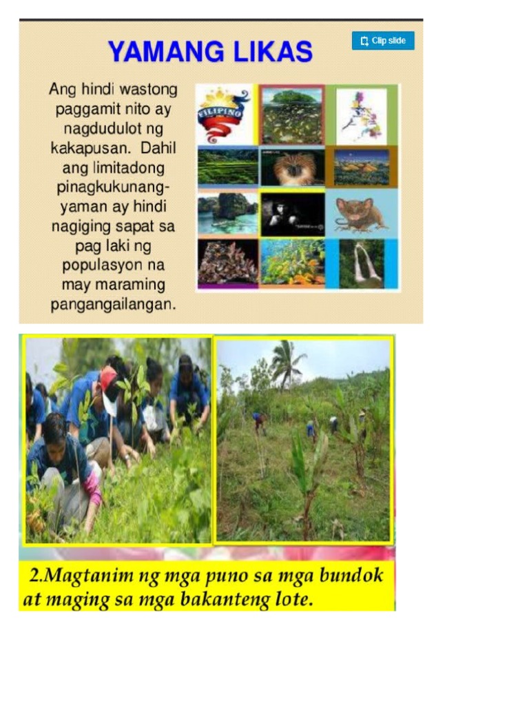 Sample Pangangalaga NG Likas Na Yaman | PDF