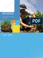 Plant Nutrition Micronutrients: Level 1 Agronomic Competence October 2016